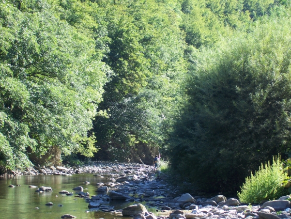  Image name: Fiume36.jpg 
 width: 601 pixel 
 height: 452 pixel 
 Size: 338514 bytes 
 Click to enlarge 